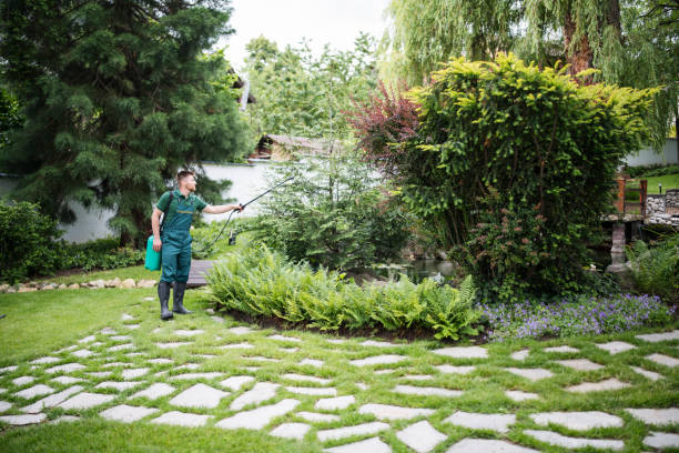 Professional Pest Control in Greenville, KY