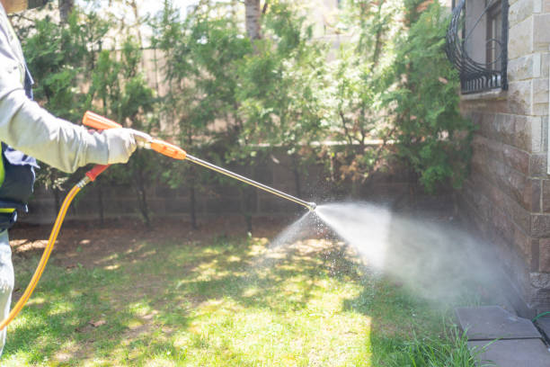 Best Pest Removal Services  in Greenville, KY