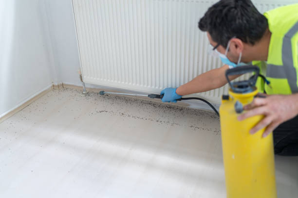 Pest Prevention Services in Greenville, KY